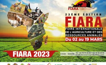 AFFICHE FIARA 2023